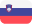 Slovenian